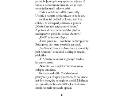 Příběhy ze zoo - Sobík popleta - Věra Hudáčková Barochová