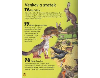 Sun Proč? Jak? Zvířata