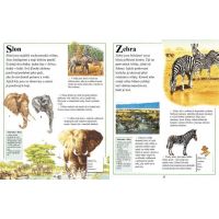 Svojtka První encyklopedie Zvířata 2