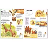 Svojtka První encyklopedie Zvířata 3