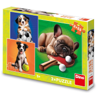 Dino Psí Sportovci 3x55 Puzzle