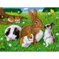 Puzzle Domácí zvířátka 2x 20d 3