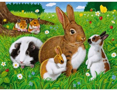 Puzzle Domácí zvířátka 2x 20d