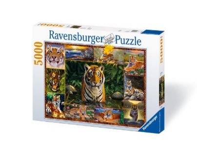 Puzzle Tygři 5000