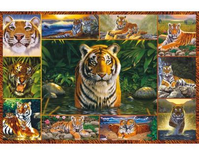 Puzzle Tygři 5000