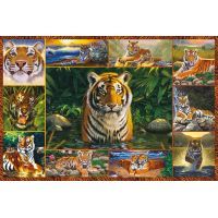 Puzzle Tygři 5000 2
