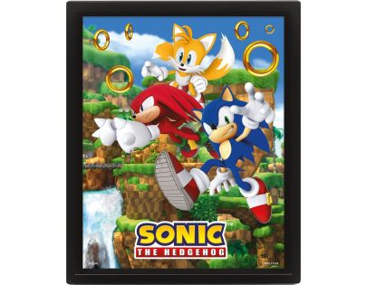 Pyramid International Sonic 3D obraz Catching Rings
