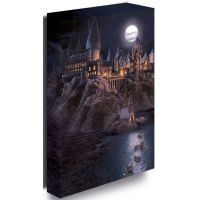 Pyramid International Obraz LED svítící 30x40 cm, Harry Potter - Bradavice hrad