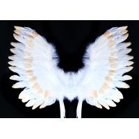 Rappa Křídla andělská s peřím bílozlatá 3