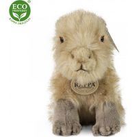 Rappa Plyšová kapybara 18 cm Eco Friendly 2