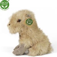Rappa Plyšová kapybara 18 cm Eco Friendly 3