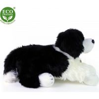 Rappa Plyšový pes Border kólie ležící 60 cm Eco Friendly 3