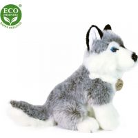 Rappa Plyšový pes Husky sedící 30 cm Eco Friendly 2