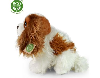 Rappa Plyšový pes King Charles Španěl 25 cm Eco Friendly