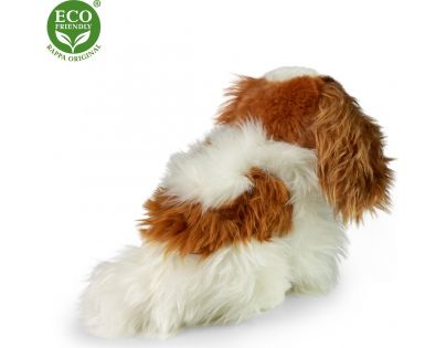 Rappa Plyšový pes King Charles Španěl 25 cm Eco Friendly