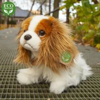 Rappa Plyšový pes King Charles Španěl 25 cm Eco Friendly 5
