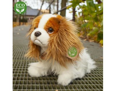 Rappa Plyšový pes King Charles Španěl 25 cm Eco Friendly