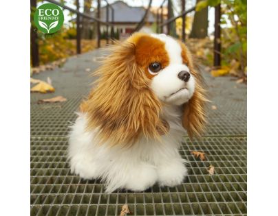 Rappa Plyšový pes King Charles Španěl 25 cm Eco Friendly