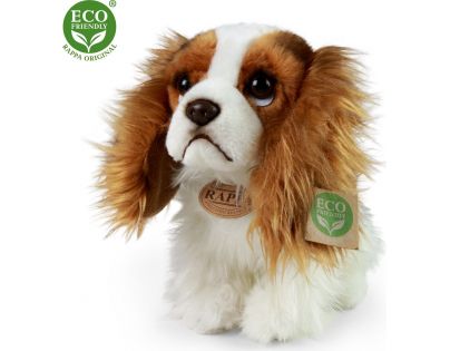 Rappa Plyšový pes King Charles Španěl 25 cm Eco Friendly