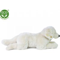 Rappa Plyšový pes Retriever ležící 60 cm Eco Friendly 3