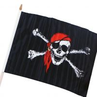Rappa Vlajka pirátská 47 x 30 cm 2