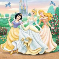 Ravensburger Disney Princezny 3 x 49 dílků 3