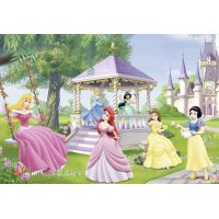 Ravensburger Disney Princess Kouzelné princezny 2 x 24 dílků 2