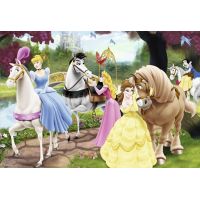 Ravensburger Disney Princess Kouzelné princezny 2 x 24 dílků 3