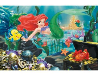 Ravensburger 07477 - Kostky Princezny 12ks