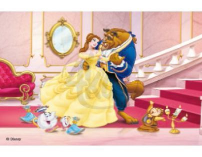 Ravensburger 07477 - Kostky Princezny 12ks
