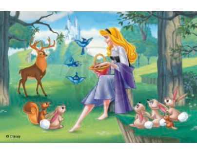 Ravensburger 07477 - Kostky Princezny 12ks