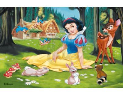 Ravensburger 07477 - Kostky Princezny 12ks