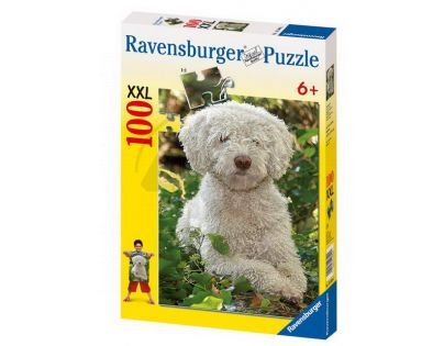 Ravensburger 10809 - Španělský vodní psík 100 dílků