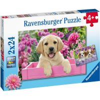 Ravensburger Puzzle Kouzelná štěňata 2 x 24 dílků 4