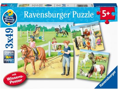 Ravensburger Puzzle Koně 3 x 49 dílků