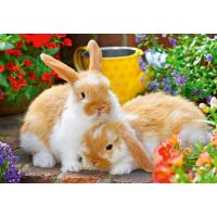 Ravensburger Puzzle Čas na mazlení 2 x 12 dílků 3