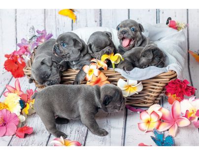 Ravensburger Puzzle Roztomilá štěňátka 2 x 12 dílků