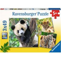 Ravensburger Puzzle Panda, tygr a lev 3 x 49 dílků