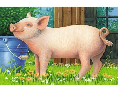 Ravensburger Puzzle Domácí zvířata 6 dílků