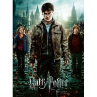 Ravensburger puzzle Harry Potter spolu v boji 300 dílků