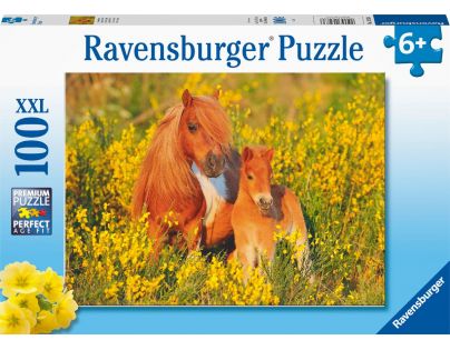 Ravensburger Puzzle Shetladnský poník 100 XXL dílků