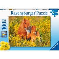Ravensburger Puzzle Shetladnský poník 100 XXL dílků 2