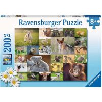 Ravensburger Puzzle Koláž zvířecích mláďat 200 dílků 2