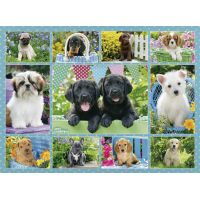 Ravensburger Puzzle 147083 Roztomilá štěňata 500 dílků 2