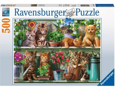 Ravensburger Puzzle Kočky na knihovně 500 dílků
