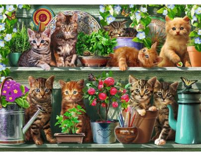 Ravensburger Puzzle Kočky na knihovně 500 dílků