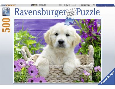 Ravensburger Puzzle Roztomilý zlatý retriever 500 dílků