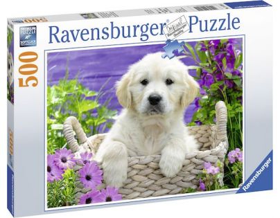 Ravensburger Puzzle Roztomilý zlatý retriever 500 dílků