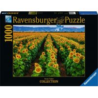 Ravensburger Puzzle Zlaté lány 1000 dílků 2
