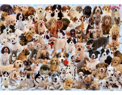 Ravensburger Puzzle Pejskové 1000 dílků